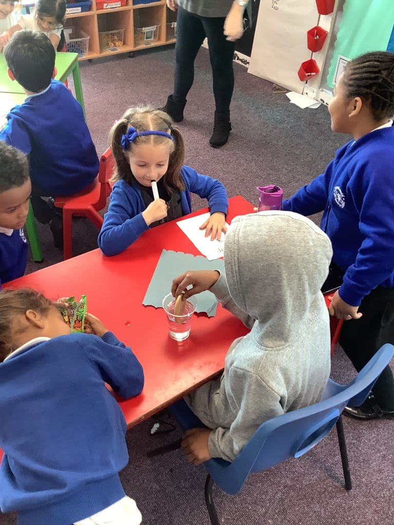 Year 1 science experiment - Southwold Primary School - Nottingham