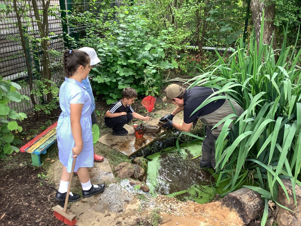 Family Garden – Session 2