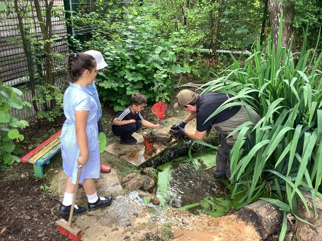 Family Garden – Session 2