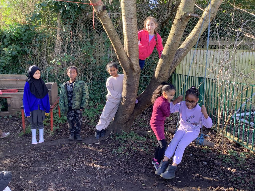 Year 3 - Forest Schools