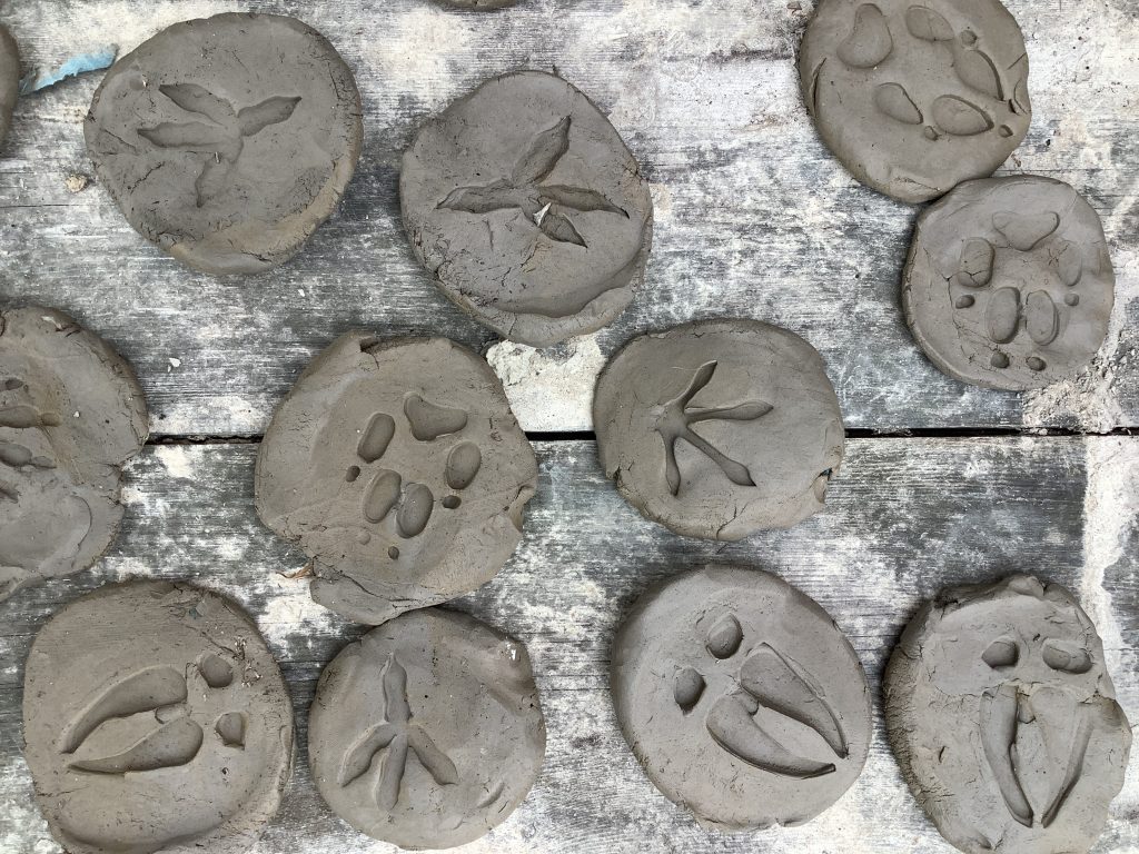 Year 3 - Forest Schools